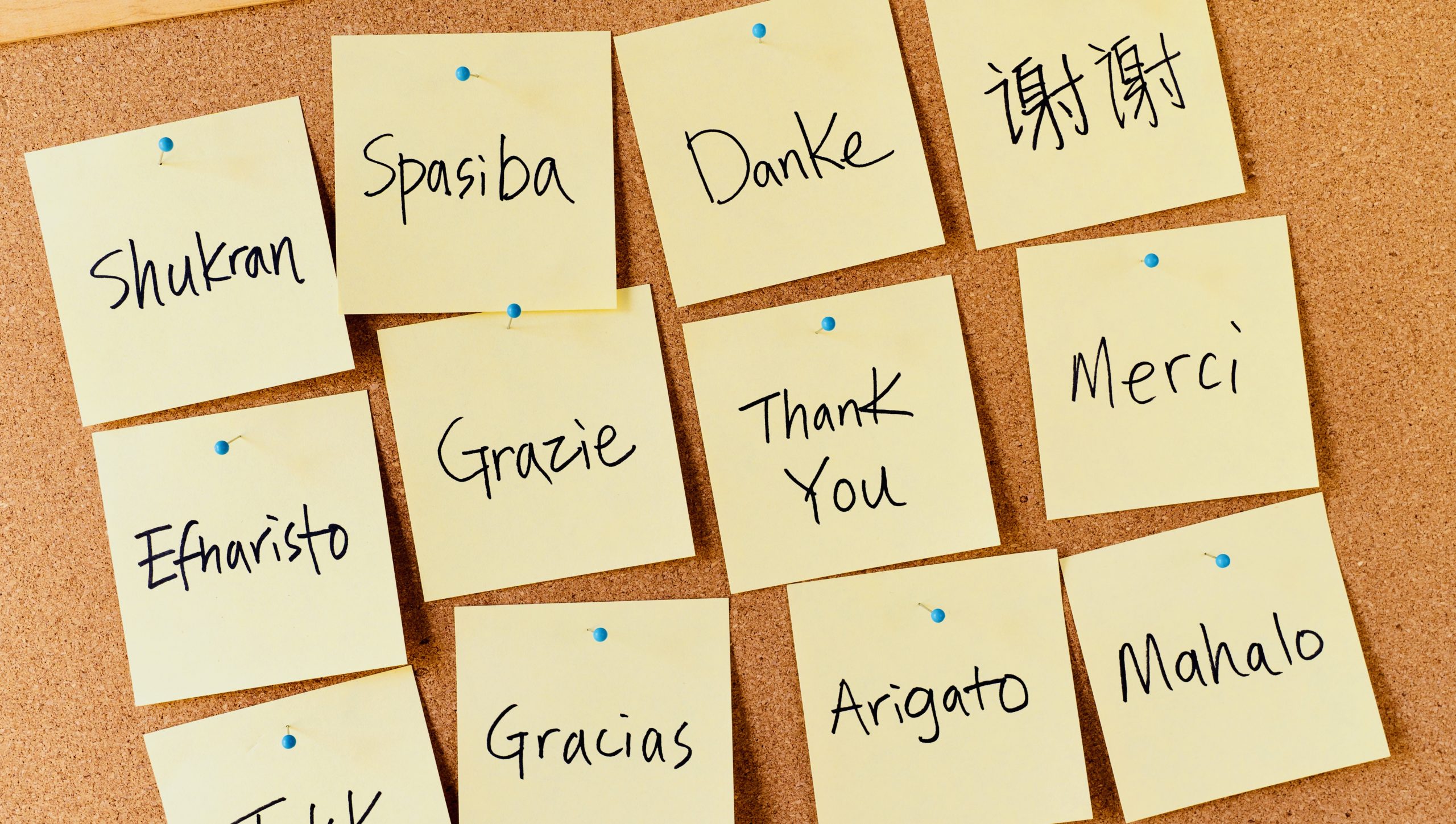 Post it notes of thank you in different languages